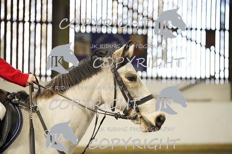 _DSC2883 - Class 3 45cm