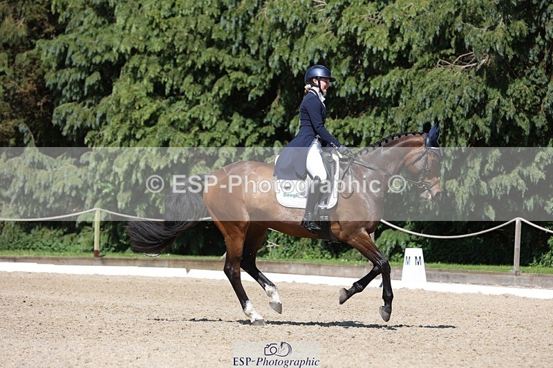 230526-151517-06661 - 379-QUIZICAL_Z-Alice_Hallows-WEDTrotUp+DR