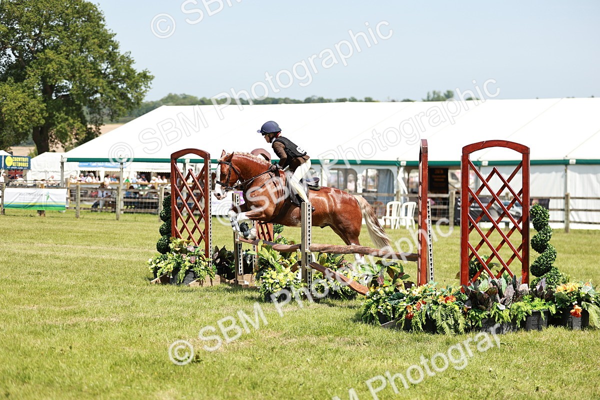 SBM_15590 - Class 108-109 - BSPS LIHS Open Gradle & Nursery Stakes