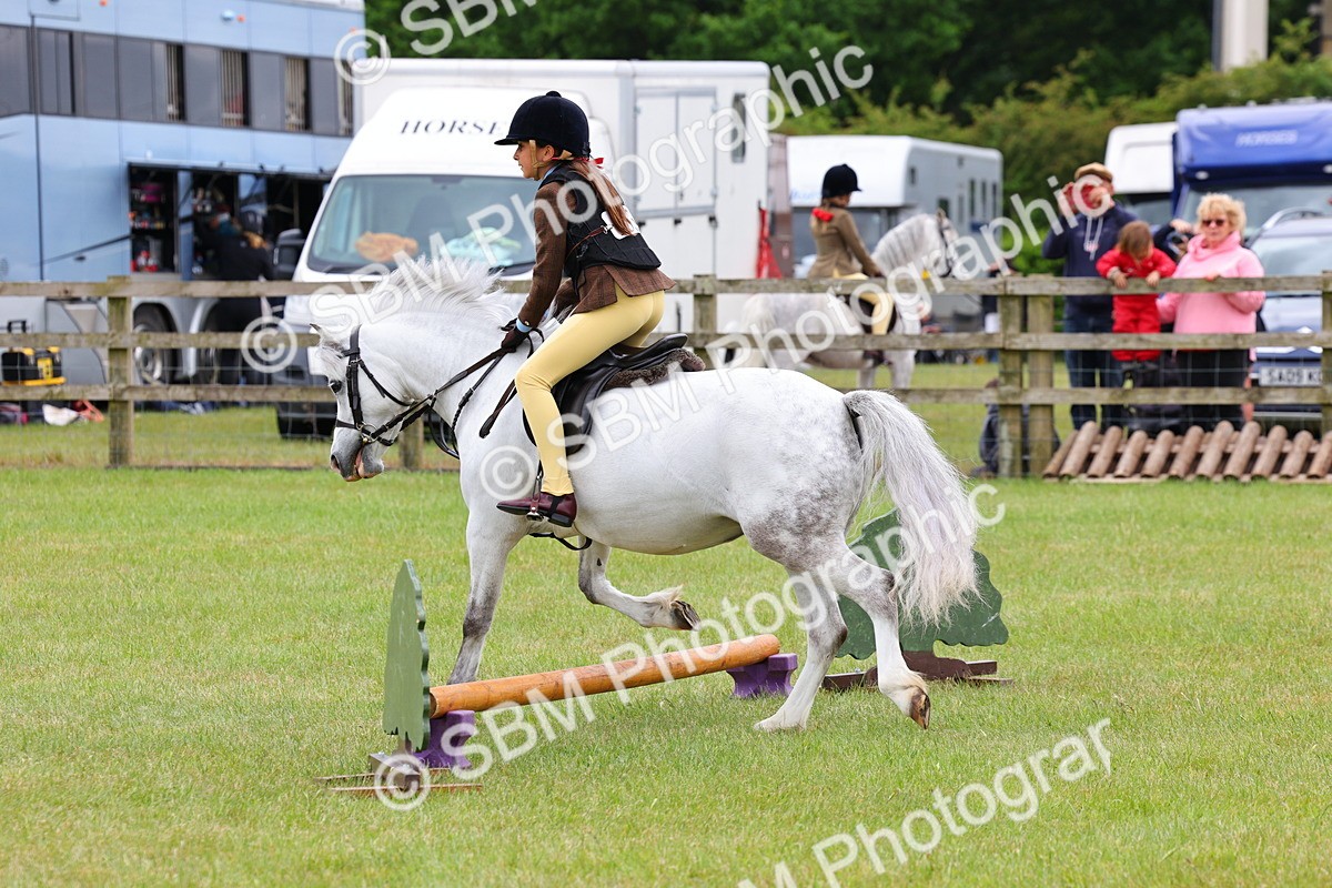 SBM_08702 - Class 42-43 - LIHS BSPS Heritage Working Sports Pony