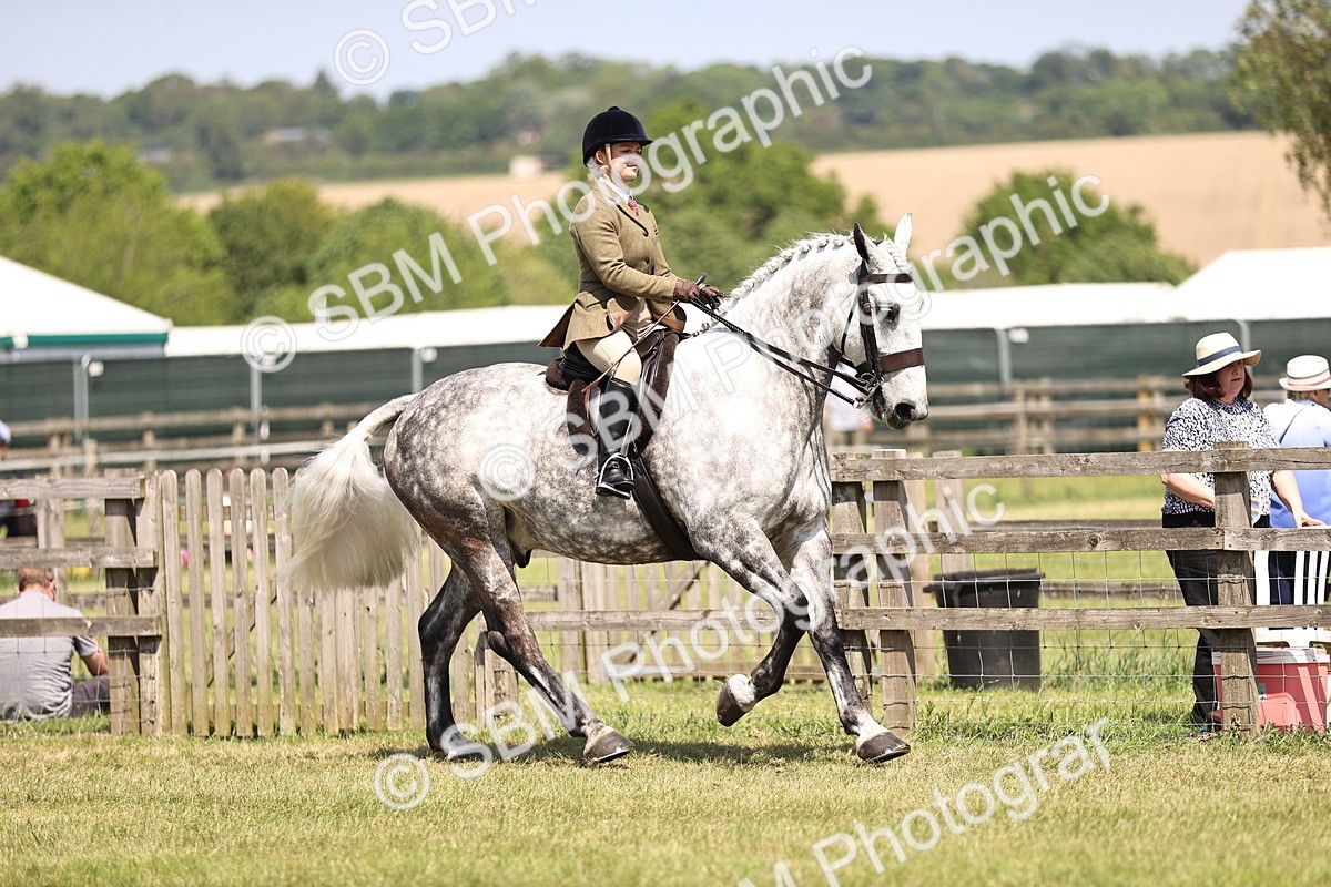 SBM_16092 - Class 79-80 - LIHS BSHA Rising Star Ridden Hunter