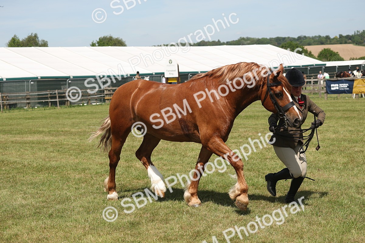 SBM_06985 - Class 26-30 - Mountain and Moorland Ridden