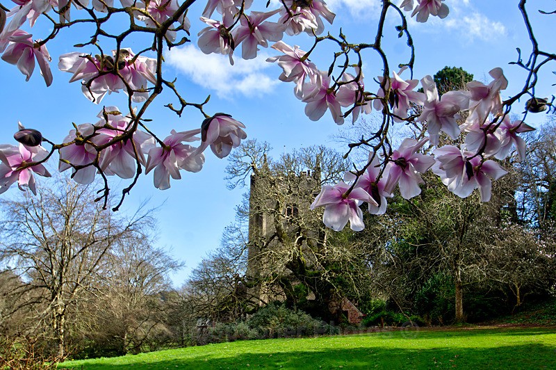 Springtime Cockington 3 - Cockington