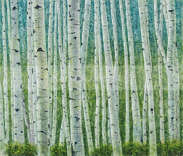 Colorado Springtime Aspen II - Original Art