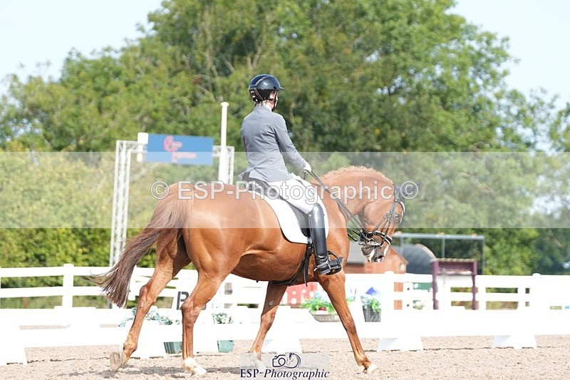 250815-103142-00445 - 007-kelly.jewellAvalon