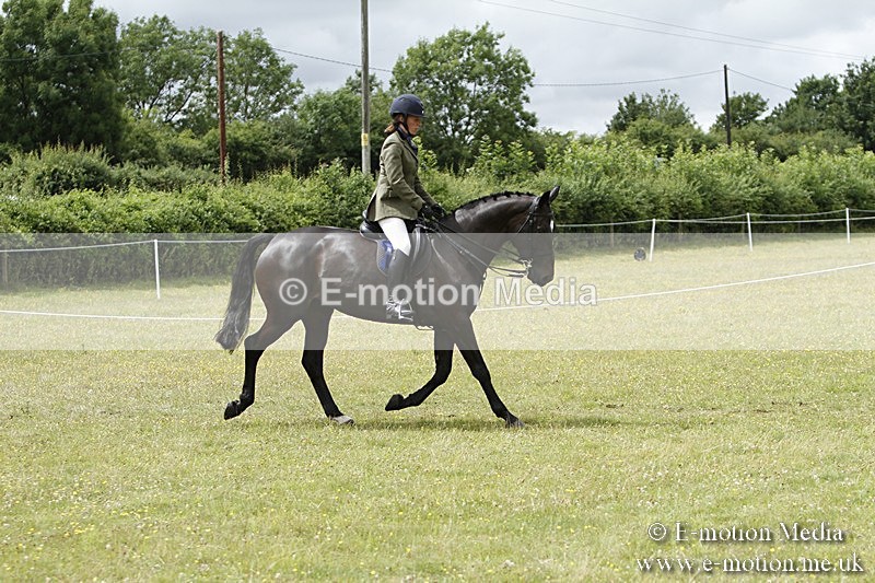 BVR160717-2278 - Working Hunter Championship 16/07/17