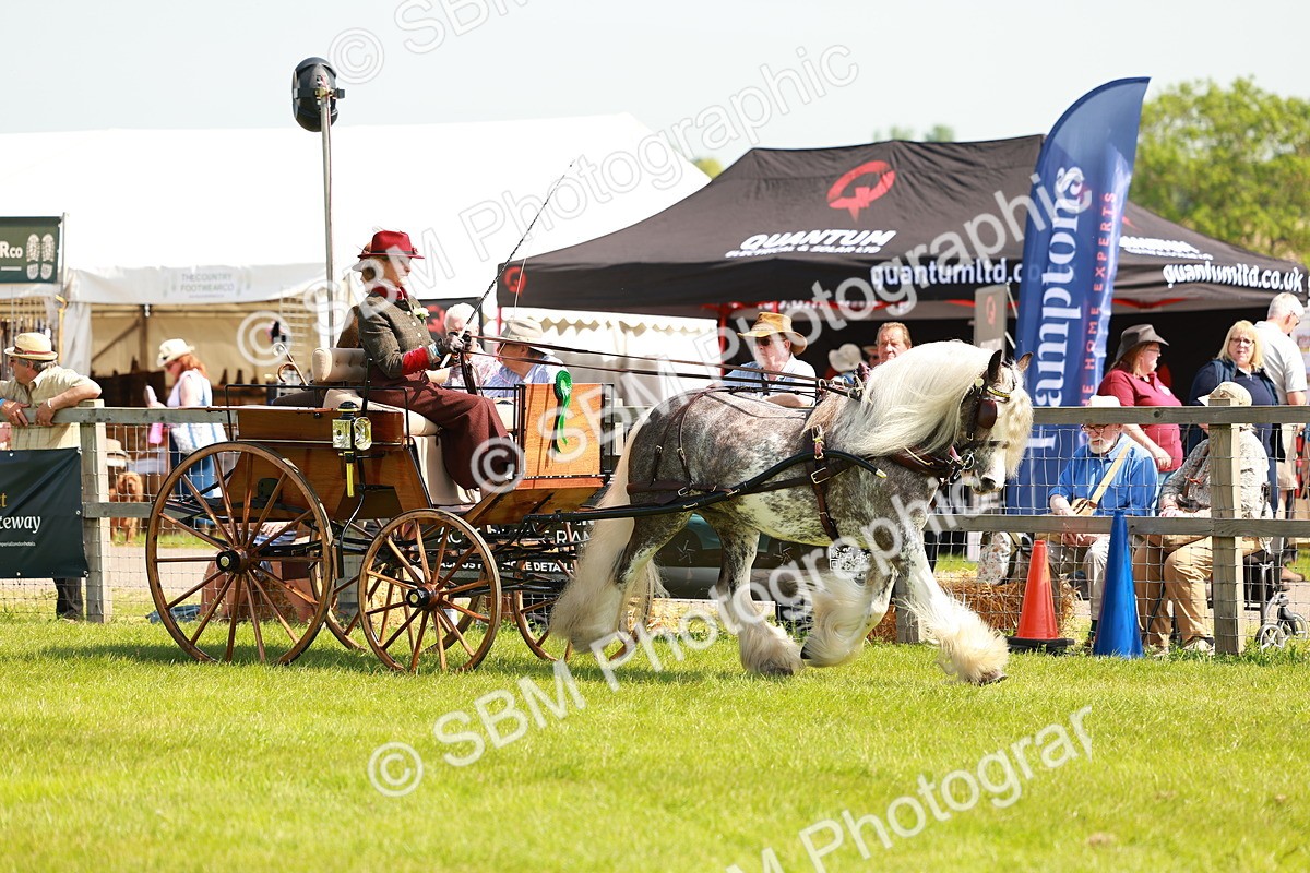 SBM_02757 - Class 2-4 - HOYS Private Driving