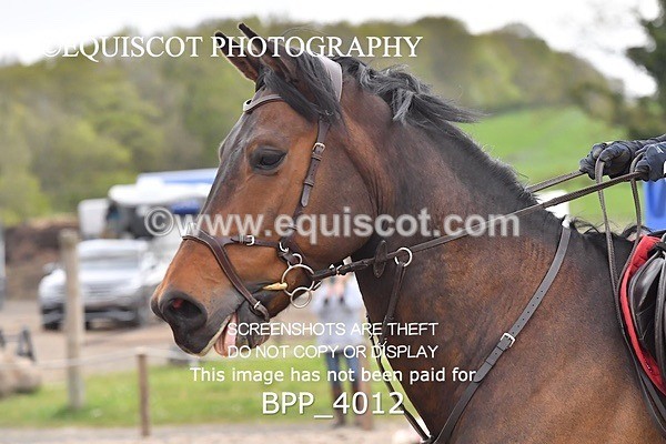 BPP_4012 - SAT CLASS 16 Senior Newcomers/ 1.10m Open