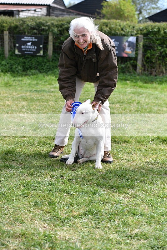 WJ5_0639 - Class 7 Best Terrier