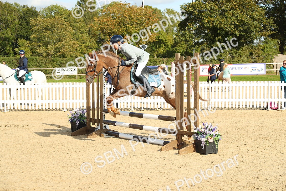 SBM_51603 - J7 - Junior Pony 60cm Championship