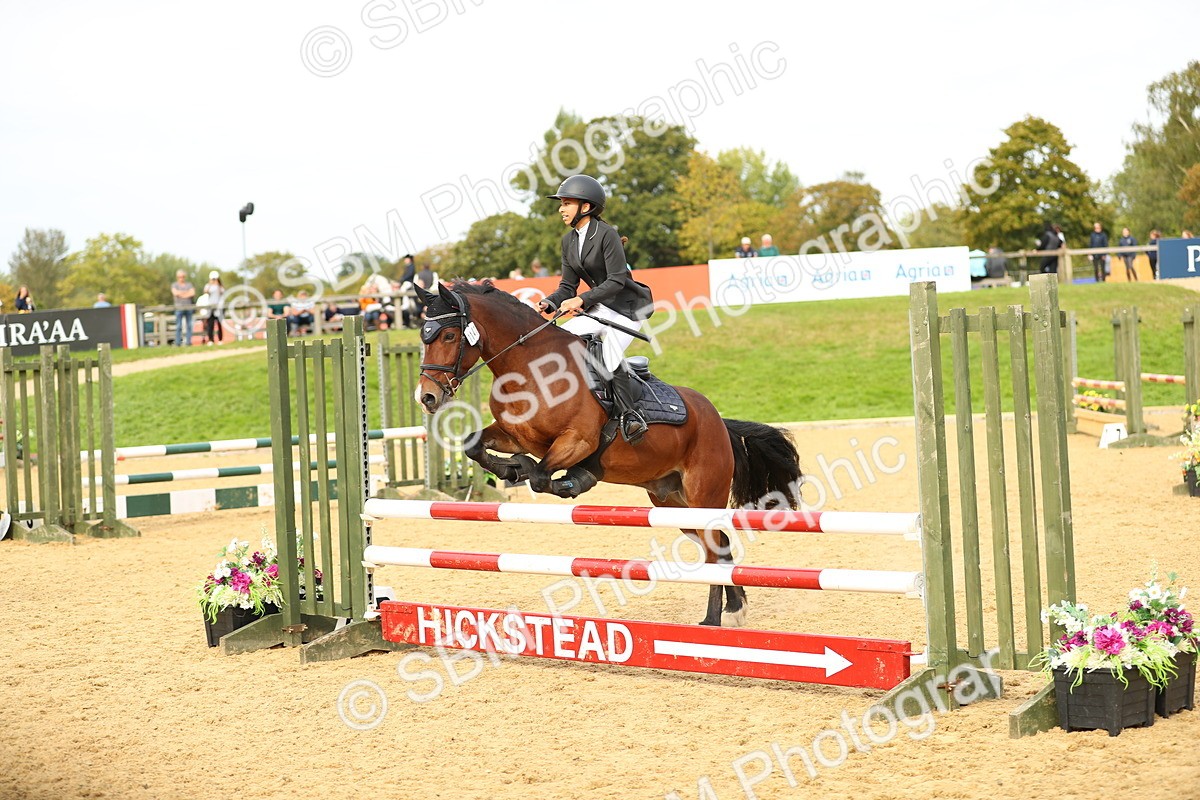 SBM_71261 - J18 - Junior Pony 85cm Championship