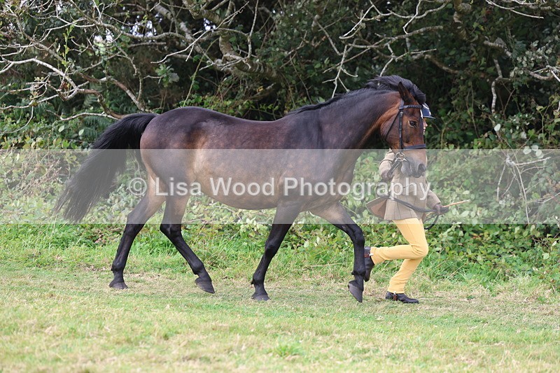 3E7A5287 - Class 18: Veteran in Hand