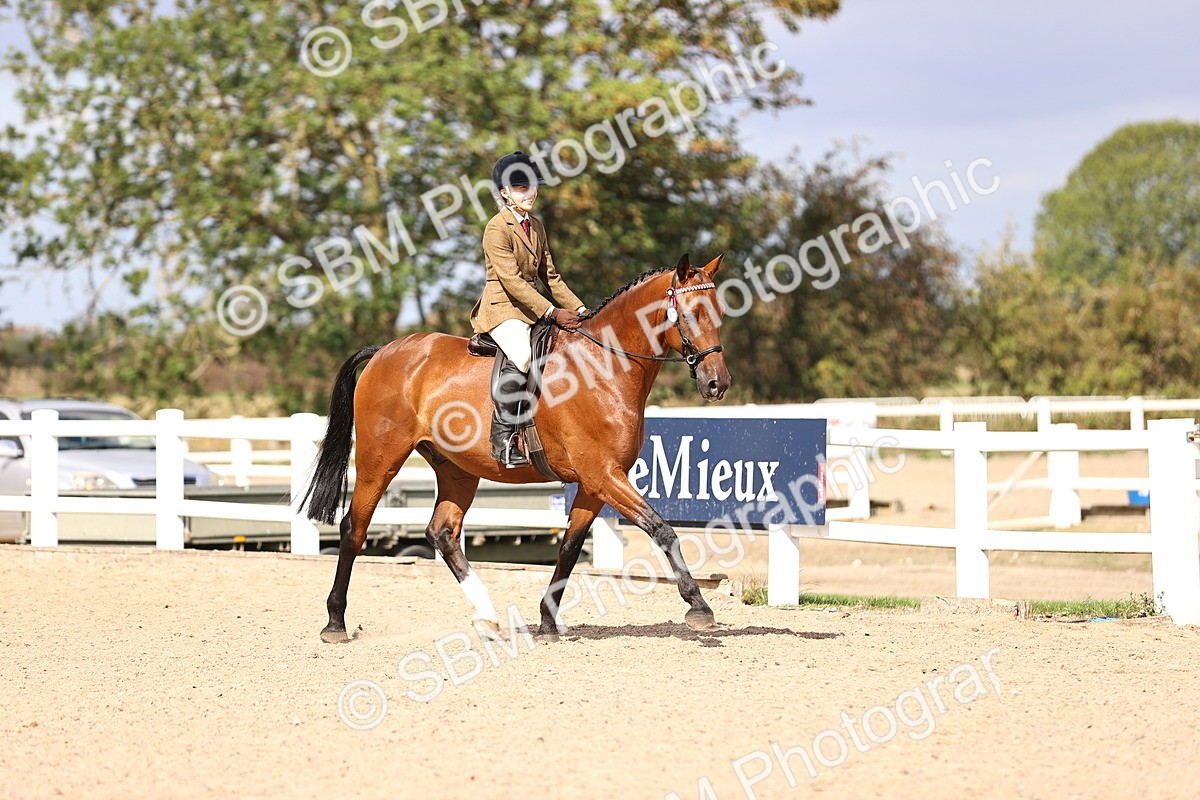 SBM_12915 - Class 410 - Grassroots Ridden - Horse