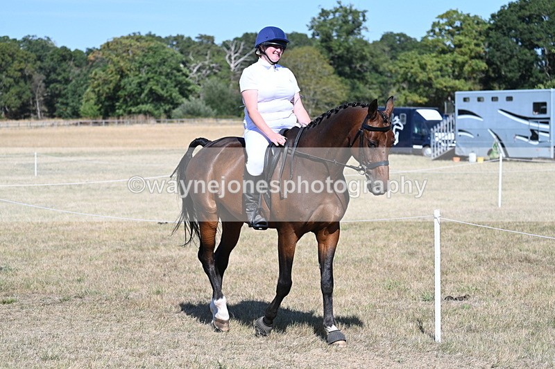 WJ7_1455 - Class 42 Most Handsome Gelding