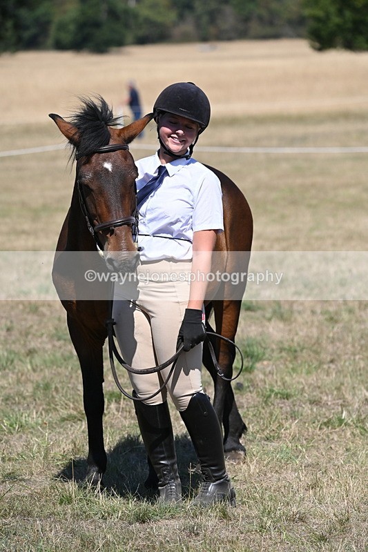 WJ6_8699 - Class 37b Best Loan Pony In-hand