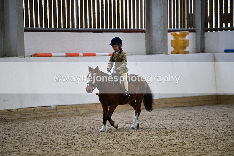 WJ5_7003 - Class 10 Childs Pony