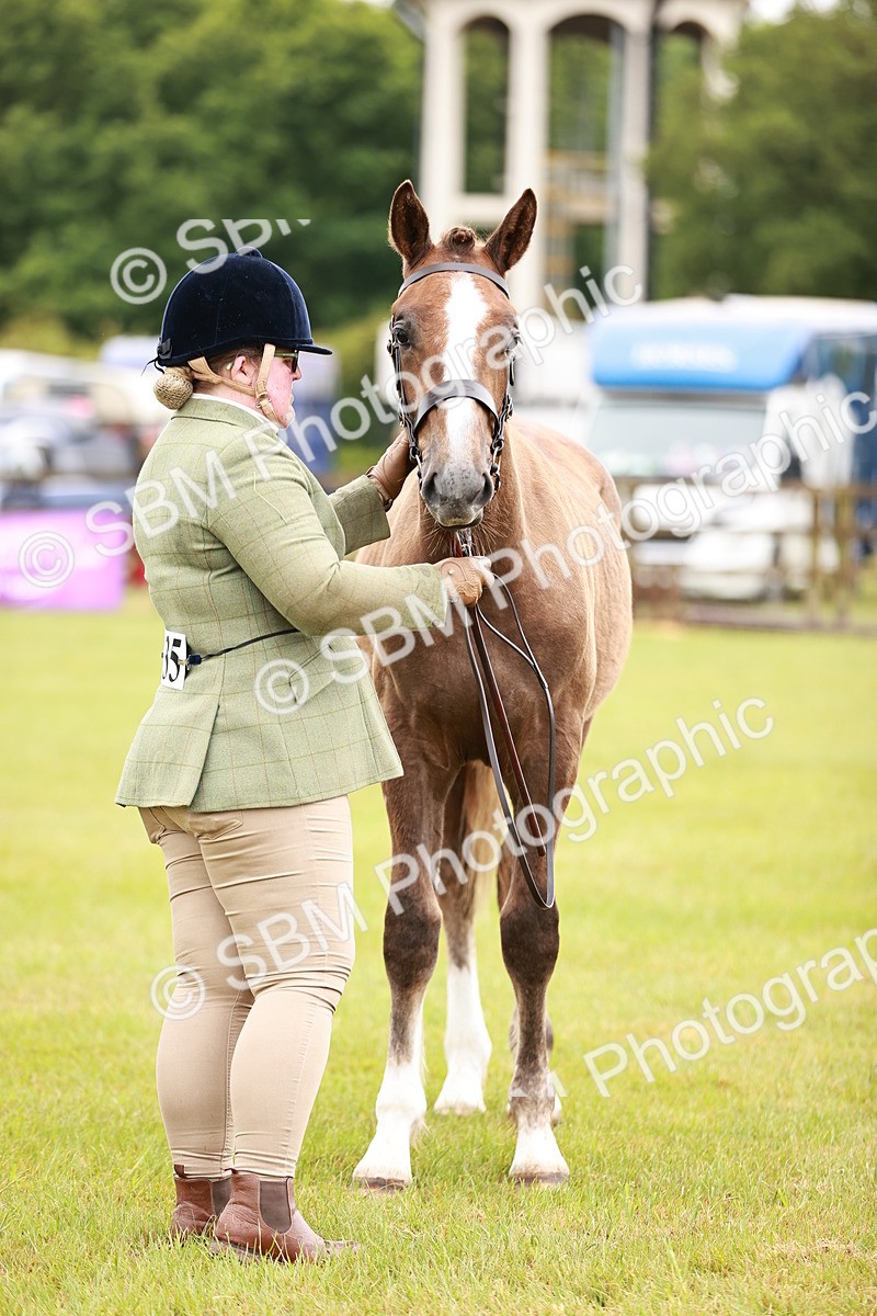 SBM_00680 - Class 26-30 Sport Horse In Hand