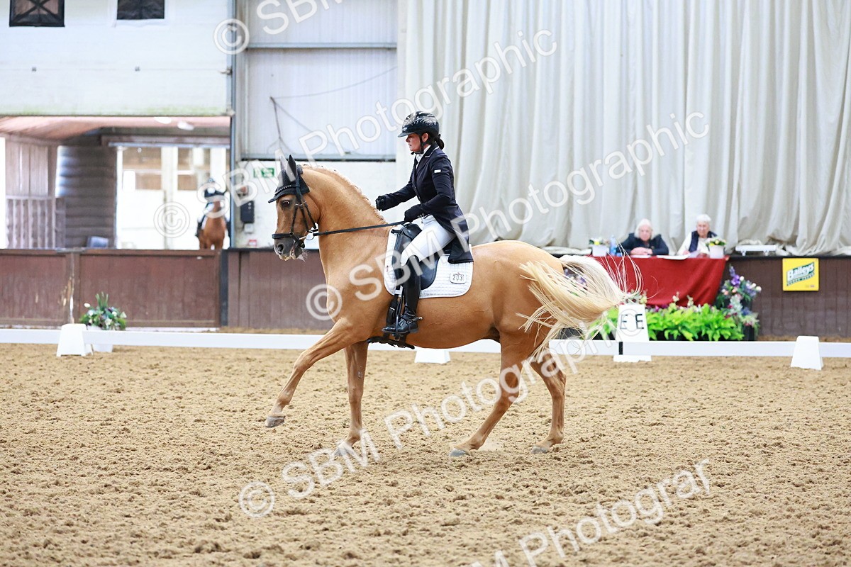 SBM_021304 - Class 25 - FEI PSG Bronze