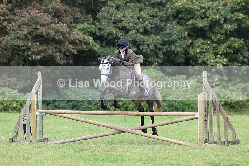 3E7A5941 - Class 28: 75cm Working Hunter