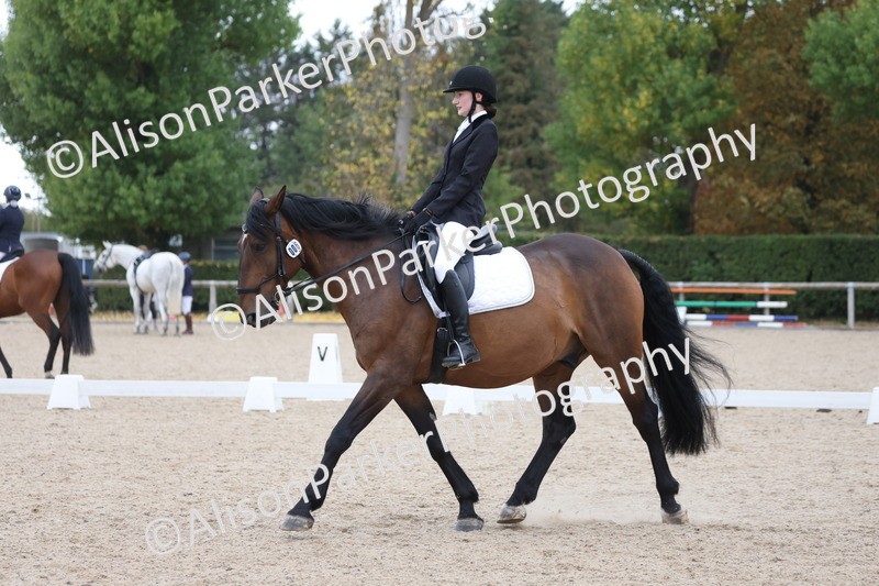 20250820-0342 - Class 11 - My Quest Novice 3