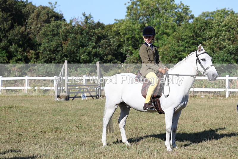 3E7A5362 - Class 2: Working Hunter 60cm