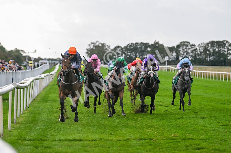 150925-Race 5-Draupnir-3014 - Race 5