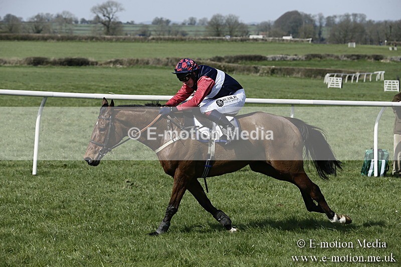 PtP 260317 10 - Mendip Farmers Point-to-Point Ston Easton 26/03/17