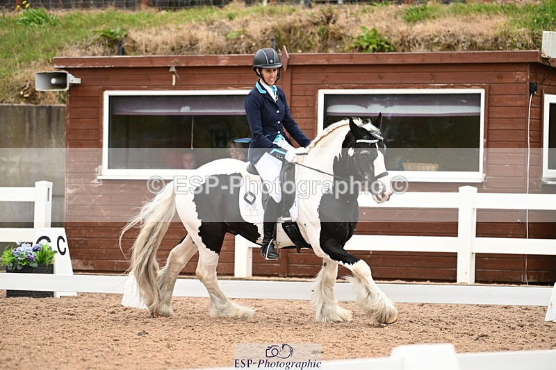 240815A-143051-02061 - 276-Alys.Matravers-Tiger.Tim