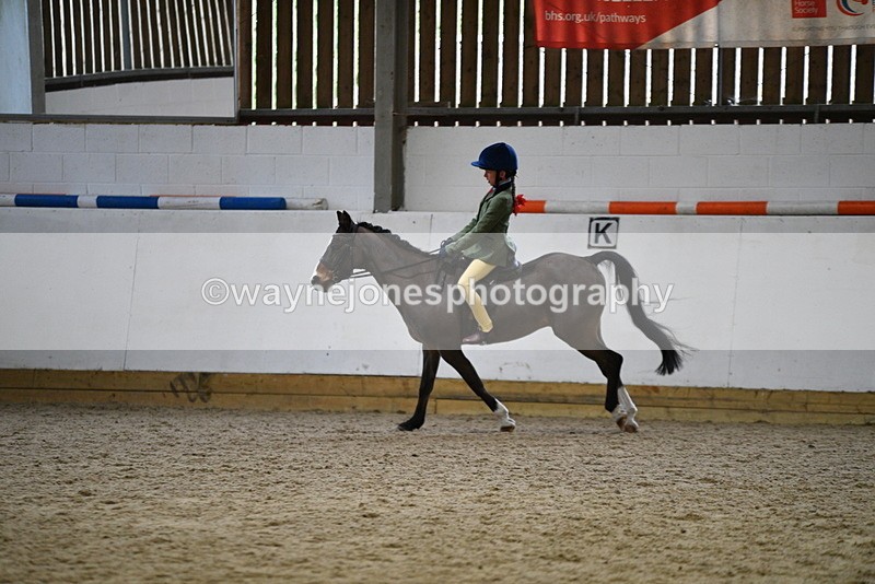 WJ5_7196 - Class 11 Ridden PC - RC Pony