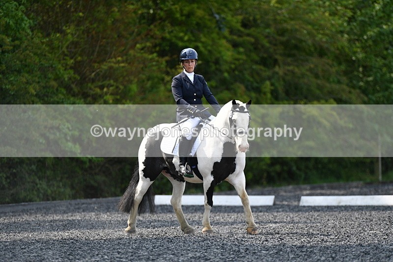 WJ5_9523 - Time 10:51 to 11:44