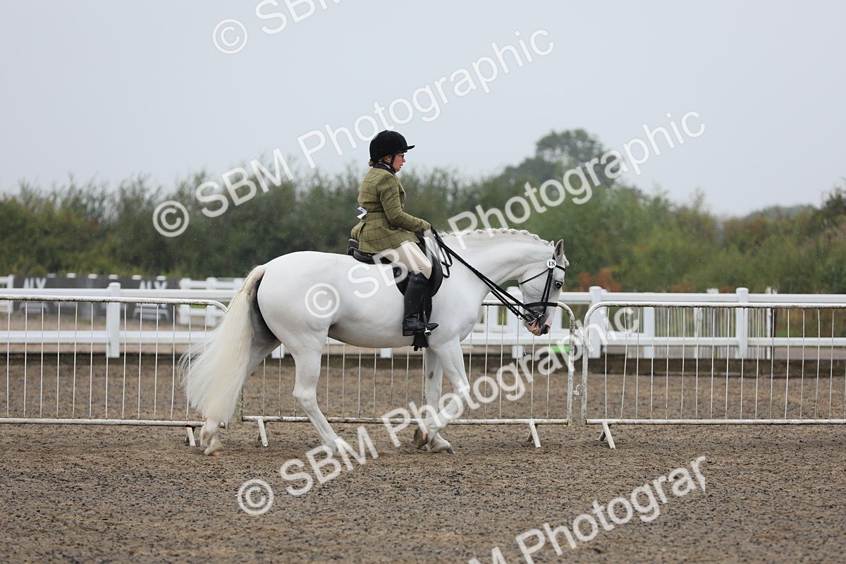 SBM_20265 - Class 803 - Ridden Combination 65+