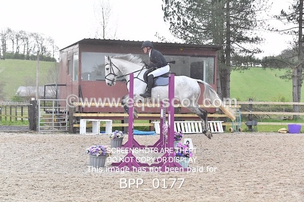 BPP_0177 - CLASS 1 FRI Club/ Unaffiliated 80cms Open