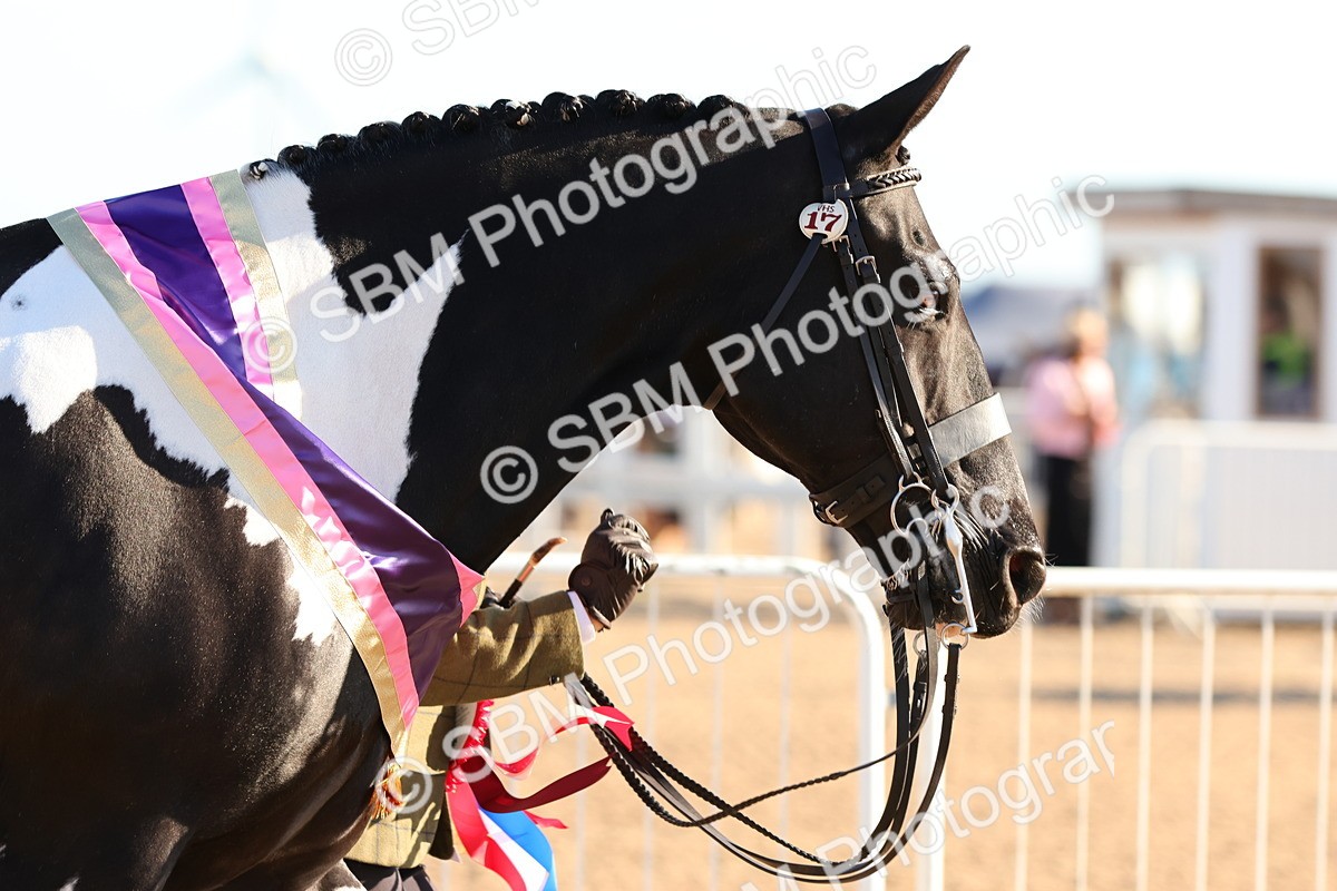 SBM_08103 - Class 201 - Best Turned Out - IH