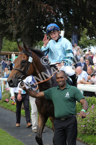 yr19082022r2-49 - Race 2 2.25pm Weatherbys Hamilton Lonsdale Cup (British Champions Series Race)