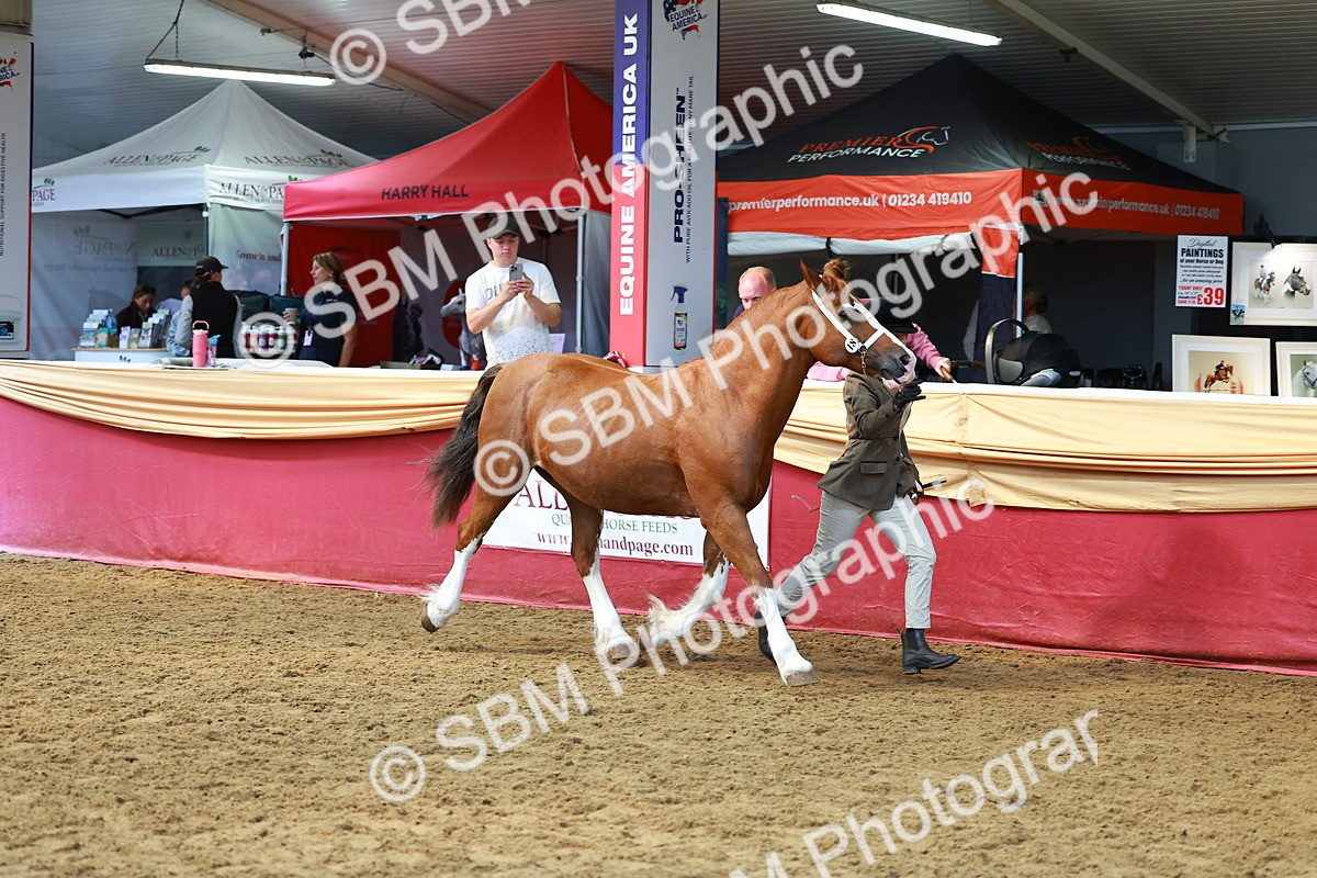 SBM_18612