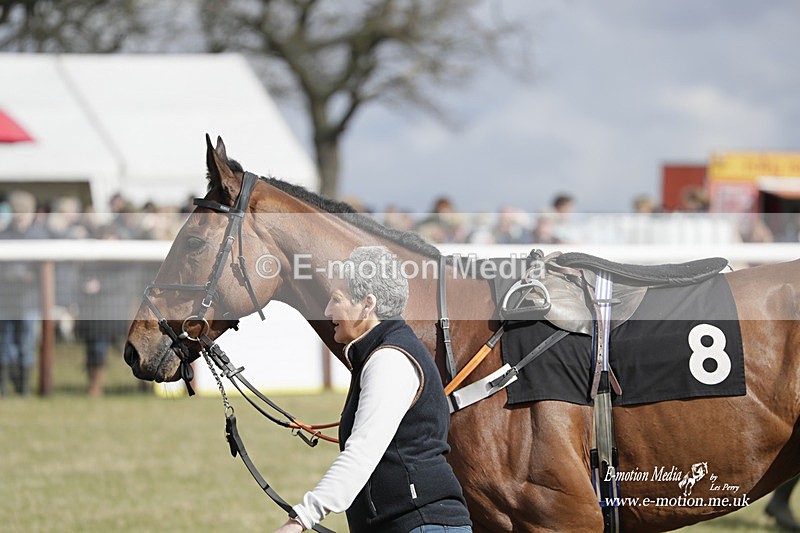 PtP 180323 394 - Shelfield Park Races with Croome & West Warwickshire Hunt  18/03/23
