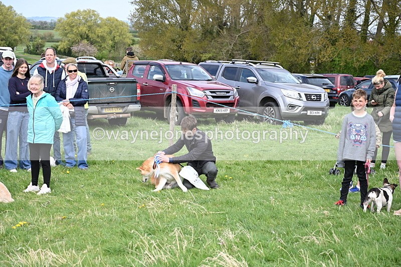 WJ6_8607 - Class 6 Best Rescue