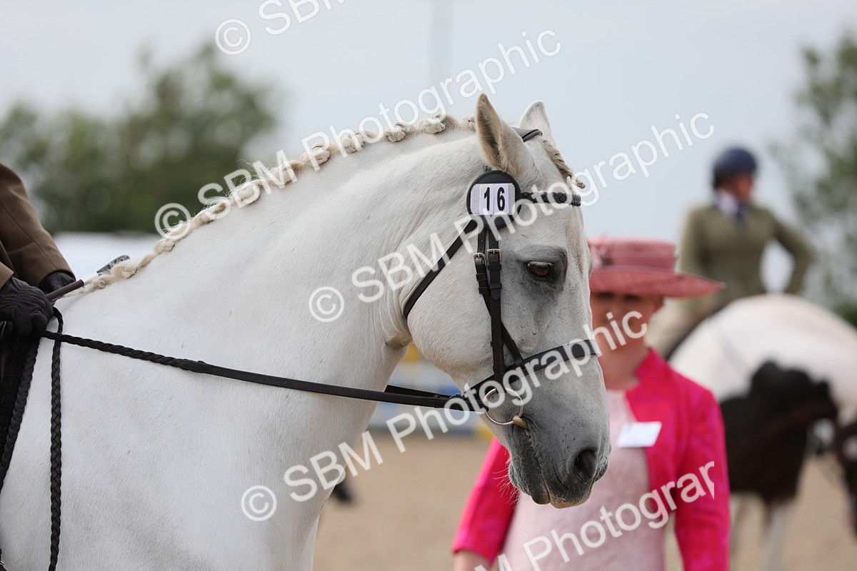 SBM_16988 - Class 314 Family Horse/Pony