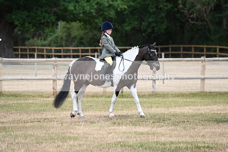 WJ6_3741 - Class 9 Tack & Turnout