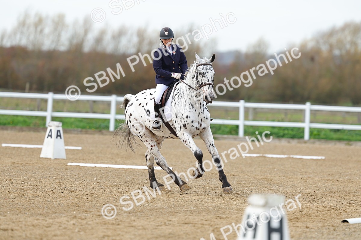SBM_003876 - Class 9-8-11 - Elementary 1-Novice 4-Elementary 4