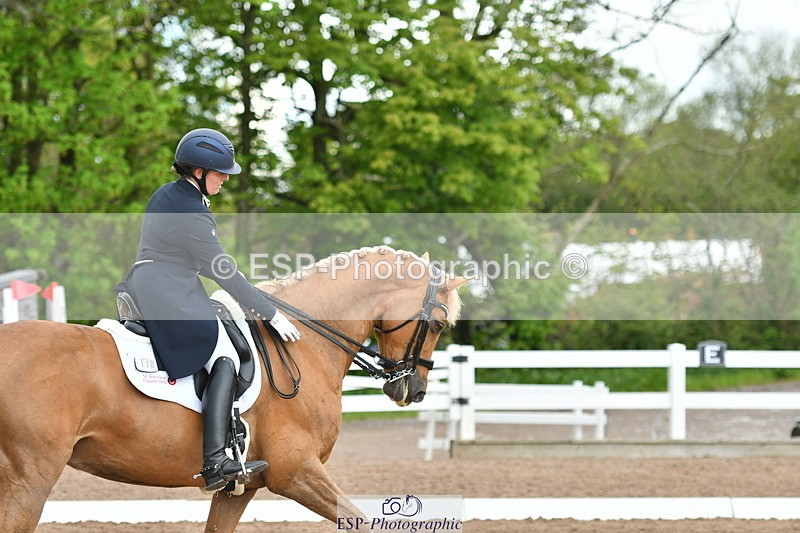 230511A-160625-01301 - BD Cls 18 FEI PSG