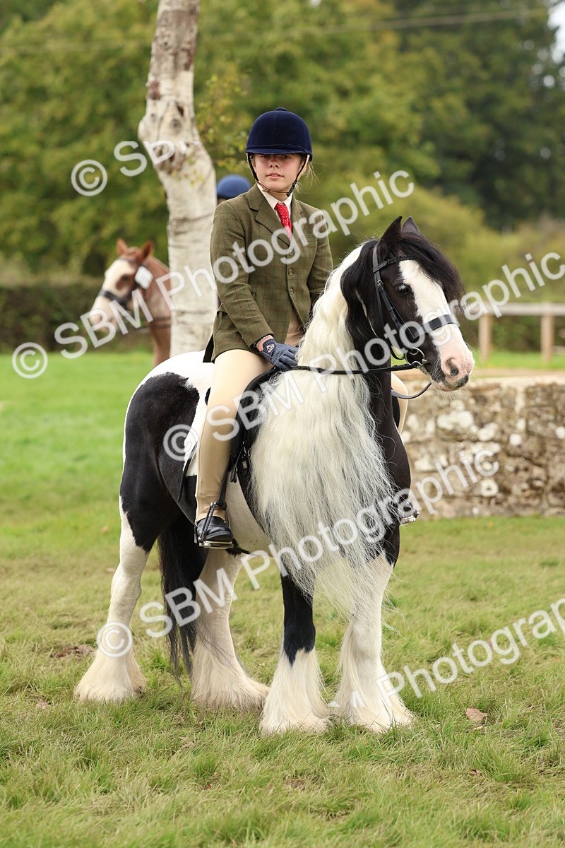 SBM_64657 - S58 - Coloured Pony Ridden