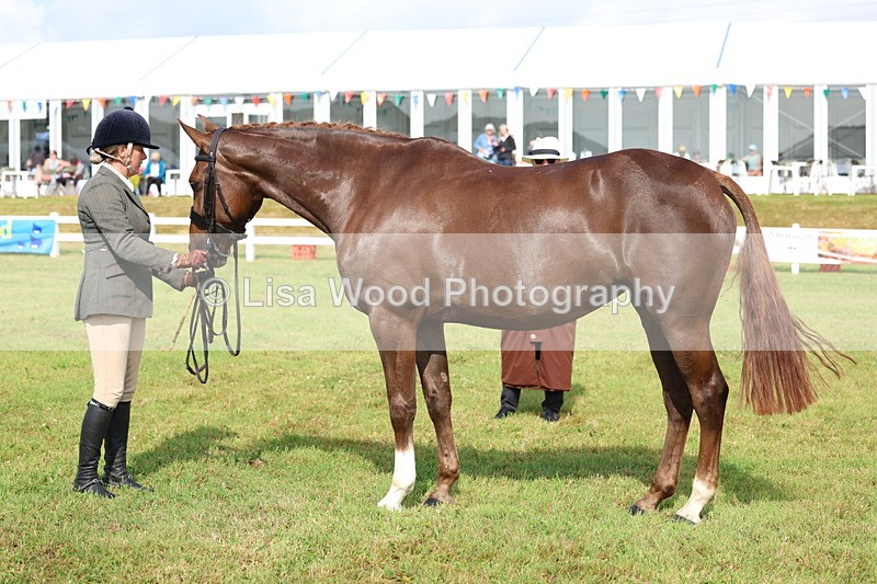 3E7A9027 - Class 3: Rising Star S/L Hunter