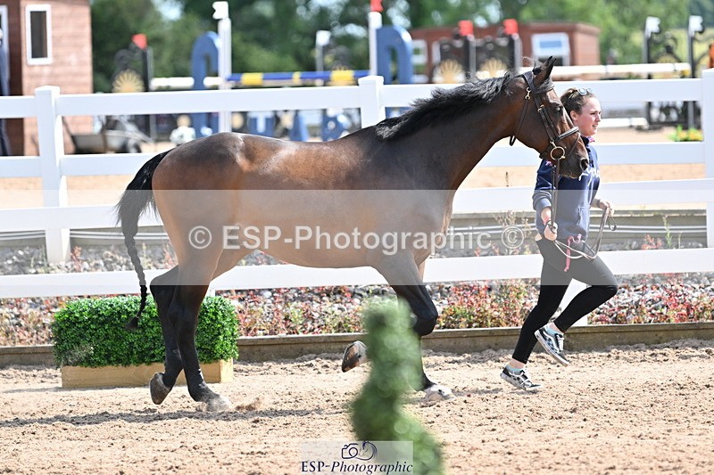 240717A-153719-02924 - Trot Up 3pm to 4pm