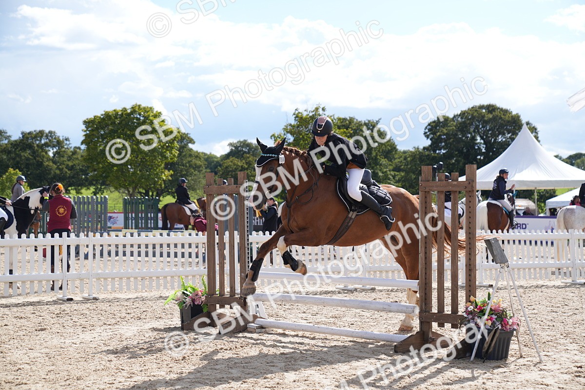SBM_08576 - J56 Clear Round 70cm