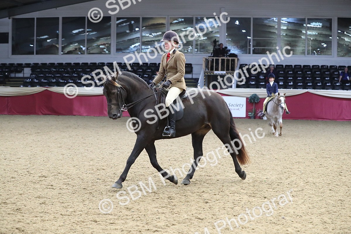 SBM_16367 - Class 502 M&M Ridden Supreme Final