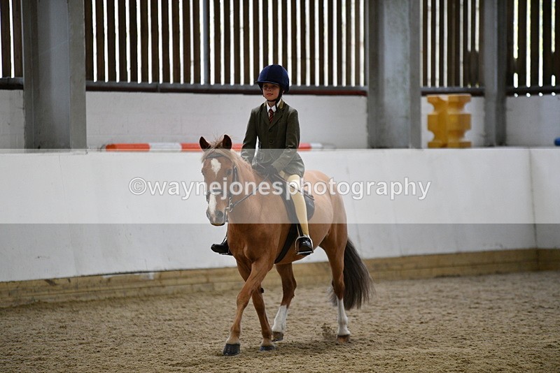 WJ5_7273 - Class 11 Ridden PC - RC Pony
