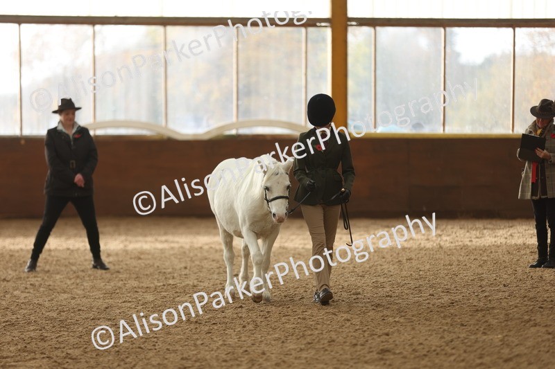 20251109-0557 - Class 21 - Mares 4 Years and over