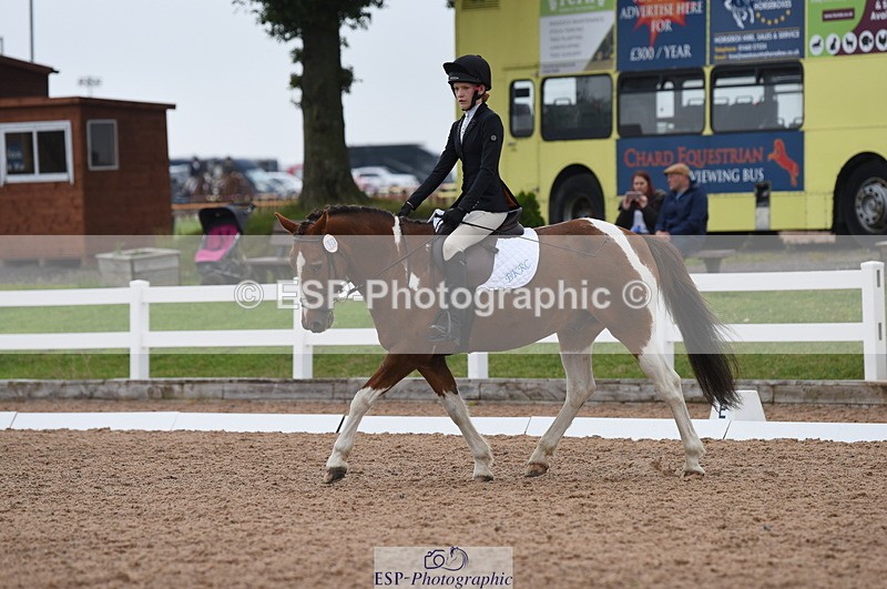 230708A-112424-01572 - Prelim 7