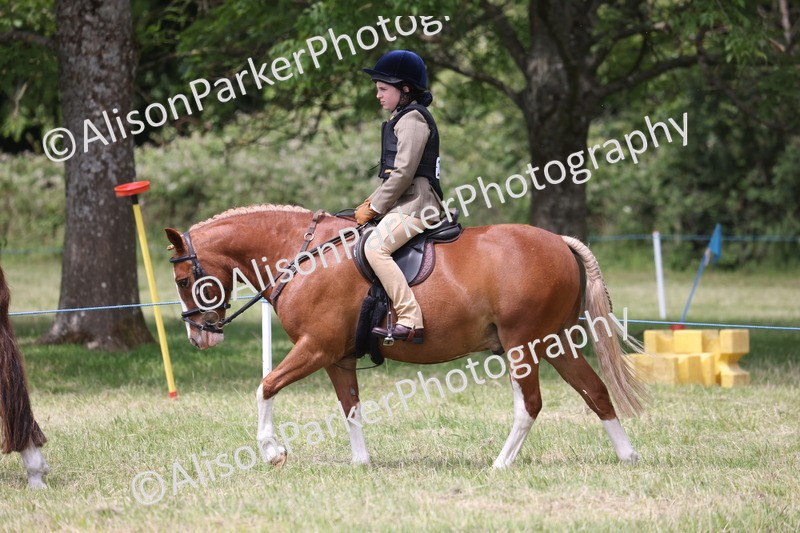 20260614-2121 - Class 21 - Novice Working Hunter Pony